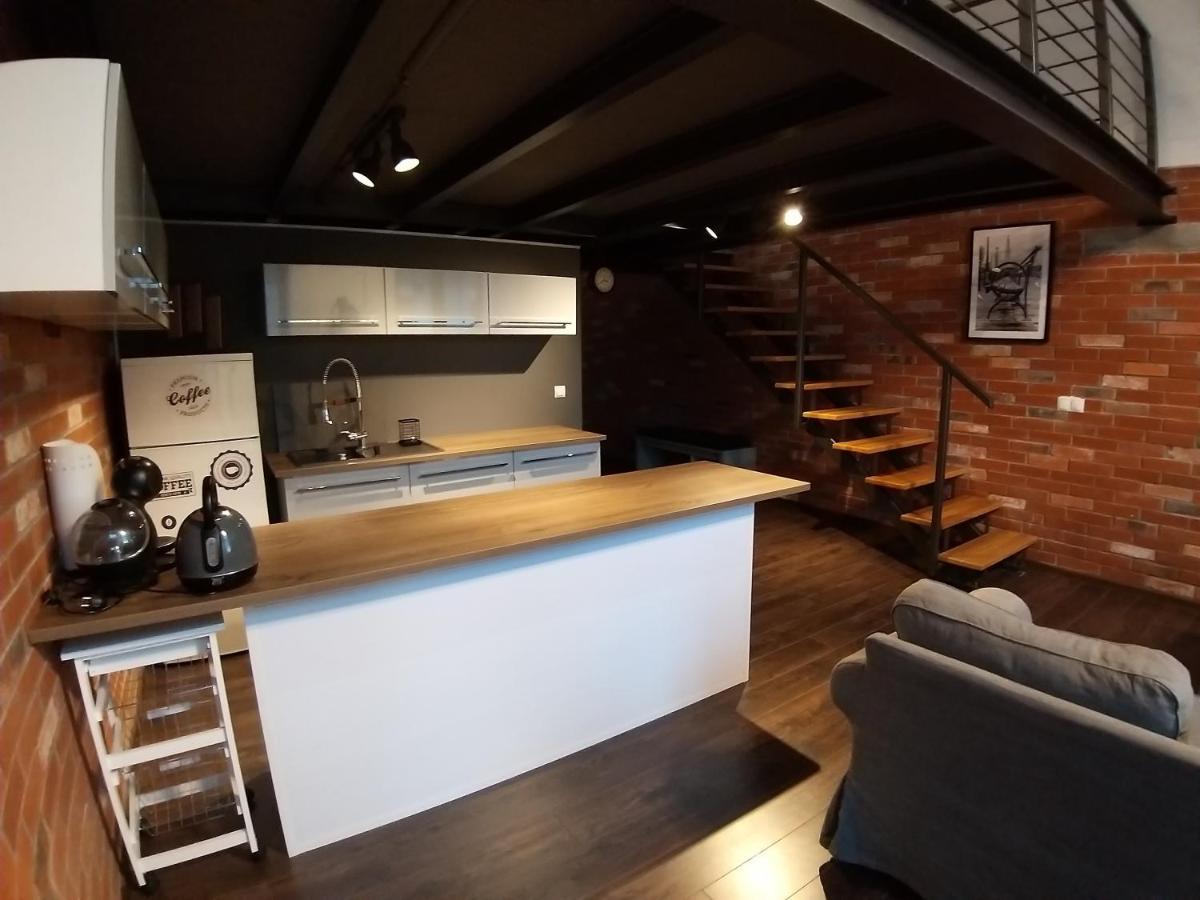 Appartamento Loft 314 Zyrardow Esterno foto